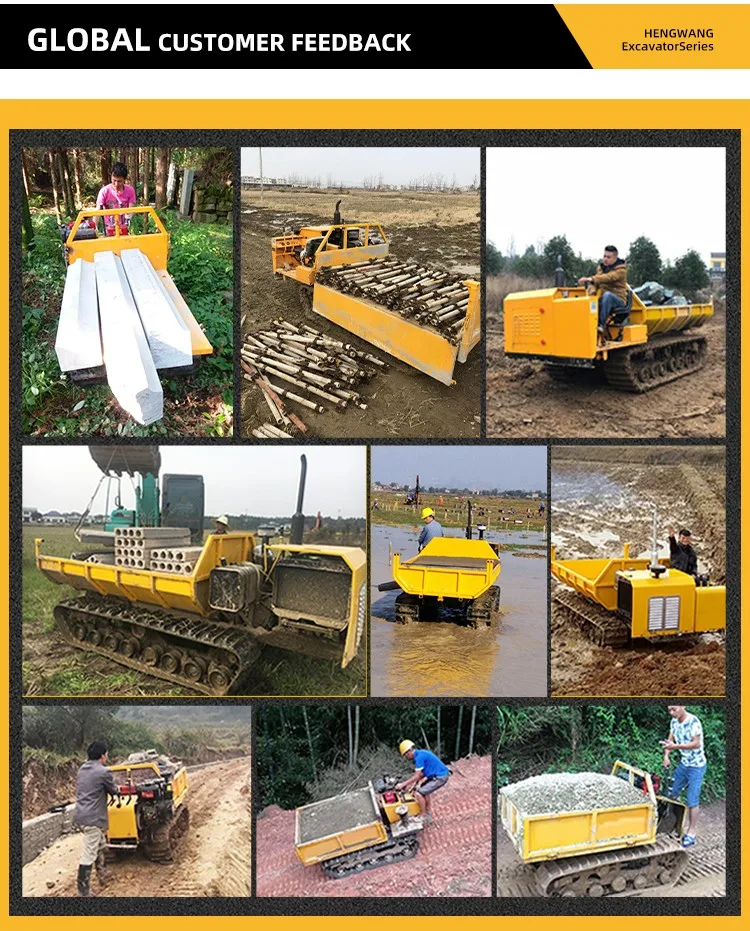 PS800L Crawler Dumper detail view 8